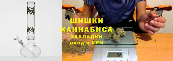 индика Алексеевка