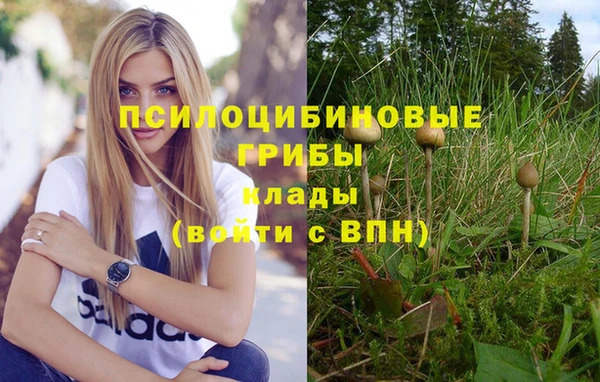 кокс Абдулино